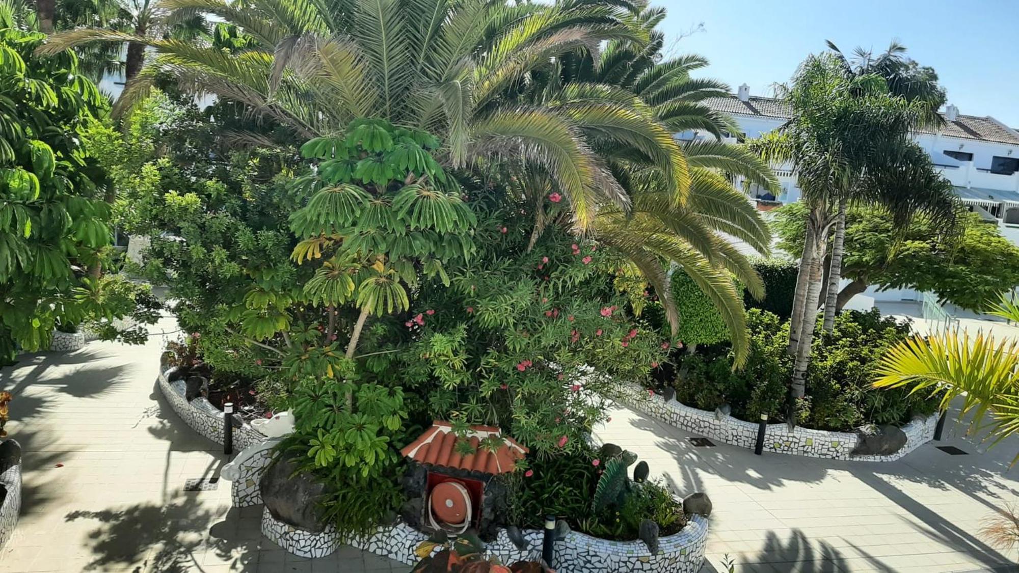 Blue Bay Paradise - Beach Front Apartment With Sea View Playa Paraiso  Buitenkant foto